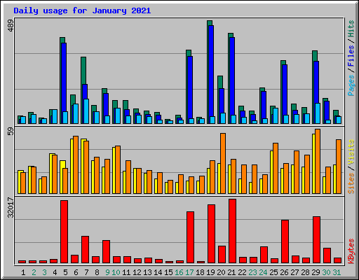 Daily usage for January 2021