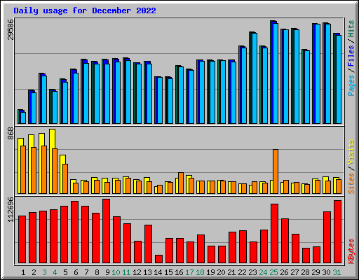 Daily usage for December 2022