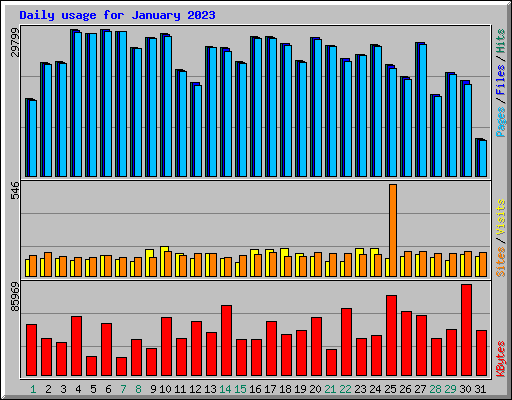 Daily usage for January 2023
