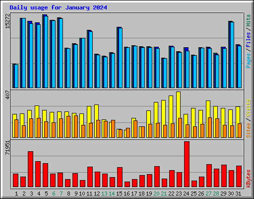 Daily usage for January 2024