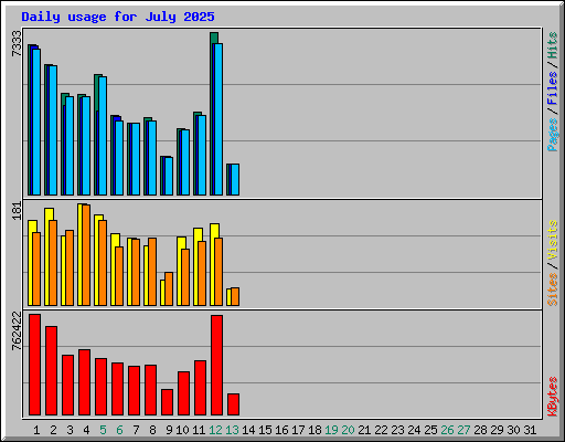 Daily usage for July 2025