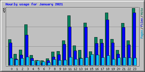 Hourly usage for January 2021
