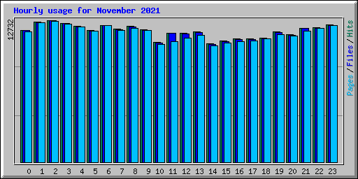 Hourly usage for November 2021