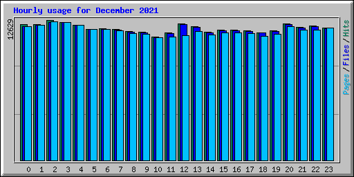 Hourly usage for December 2021