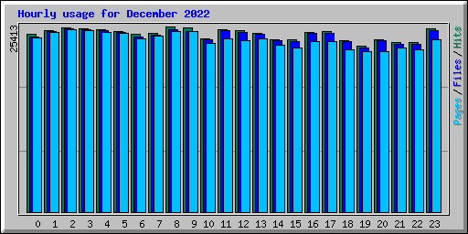 Hourly usage for December 2022