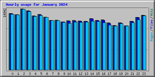 Hourly usage for January 2024
