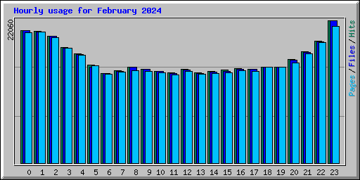 Hourly usage for February 2024