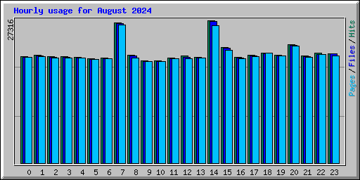 Hourly usage for August 2024