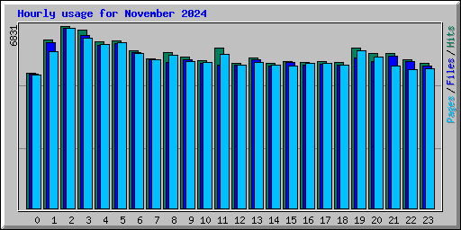 Hourly usage for November 2024