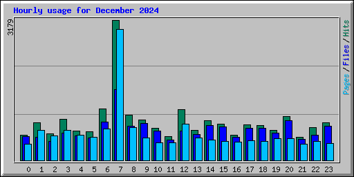 Hourly usage for December 2024