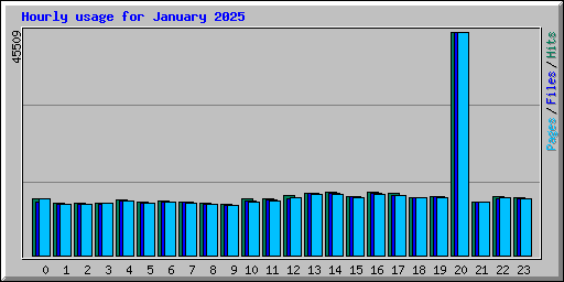 Hourly usage for January 2025