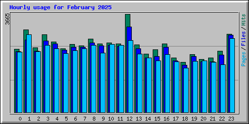 Hourly usage for February 2025