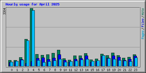Hourly usage for April 2025