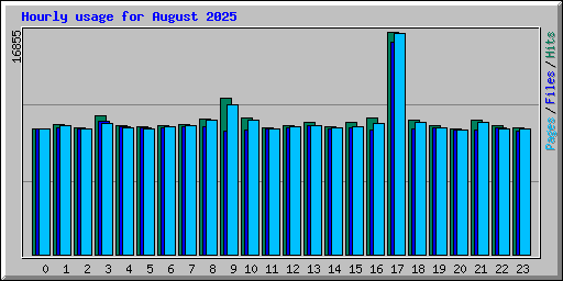 Hourly usage for August 2025