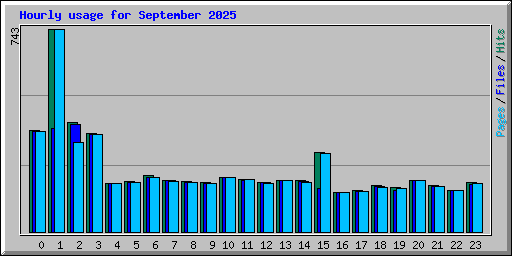 Hourly usage for September 2025